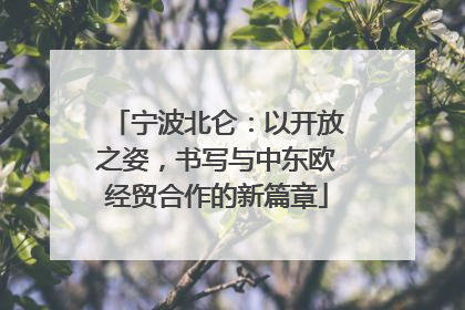 宁波北仑：以开放之姿，书写与中东欧经贸合作的新篇章