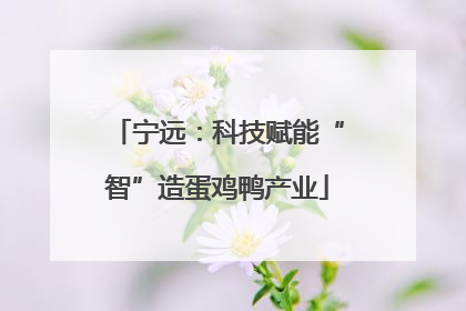 宁远：科技赋能“智”造蛋鸡鸭产业
