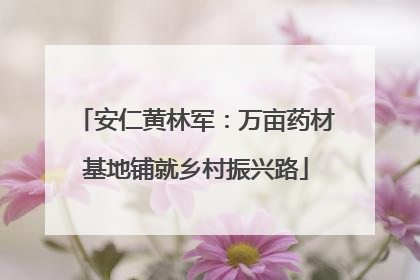 安仁黄林军：万亩药材基地铺就乡村振兴路