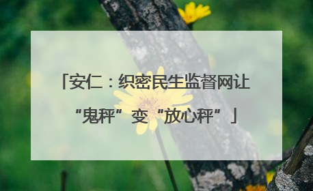 安仁：织密民生监督网让“鬼秤”变“放心秤”