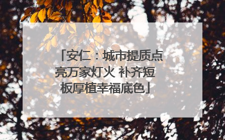 安仁：城市提质点亮万家灯火 补齐短板厚植幸福底色