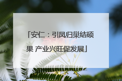 安仁：引凤归巢结硕果 产业兴旺促发展