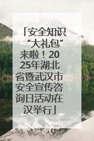 安全知识“大礼包”来啦！2025年湖北省暨武汉市安全宣传咨询日活动在汉举行