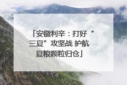 安徽利辛：打好“三夏”攻坚战 护航夏粮颗粒归仓