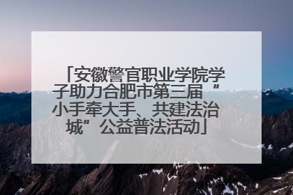 安徽警官职业学院学子助力合肥市第三届“小手牵大手、共建法治城”公益普法活动