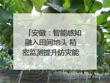 安徽：智能感知融入田间地头 精密监测提升防灾能力｜增发国债气象项目落地见效系列报道