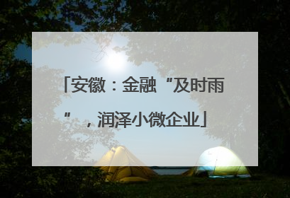 安徽：金融“及时雨”，润泽小微企业
