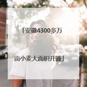 安徽4300多万亩小麦大面积开镰