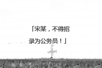 宋某，不得招录为公务员！