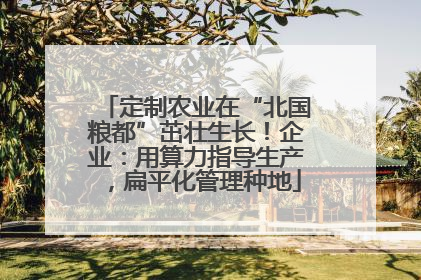定制农业在“北国粮都”茁壮生长！企业：用算力指导生产，扁平化管理种地