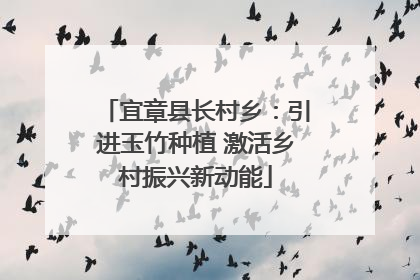 宜章县长村乡：引进玉竹种植 激活乡村振兴新动能