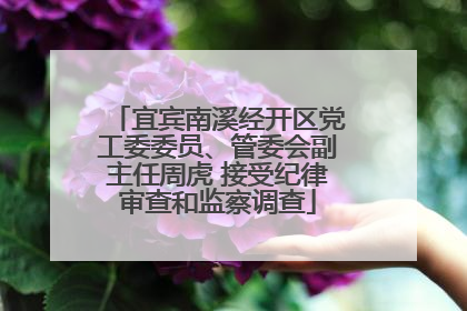 宜宾南溪经开区党工委委员、管委会副主任周虎 接受纪律审查和监察调查