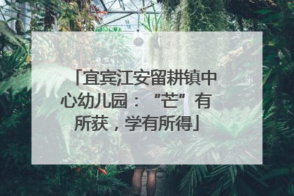 宜宾江安留耕镇中心幼儿园：“芒”有所获，学有所得