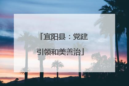 宜阳县：党建引领和美善治