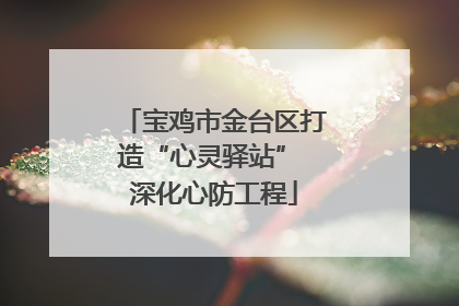 宝鸡市金台区打造“心灵驿站” 深化心防工程
