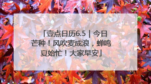壹点日历6.5｜今日芒种！风吹麦成浪，蝉鸣夏始忙！大家早安