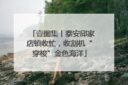 壹图集丨泰安邱家店镇收忙，收割机“穿梭”金色海洋