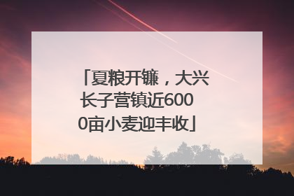 夏粮开镰，大兴长子营镇近6000亩小麦迎丰收