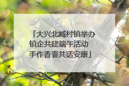 大兴北臧村镇举办镇企共建端午活动 手作香囊共话安康