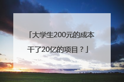 大学生200元的成本干了20亿的项目？