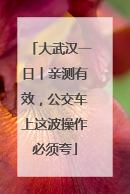 大武汉一日丨亲测有效，公交车上这波操作必须夸