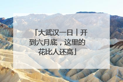大武汉一日︱开到六月底，这里的花比人还高