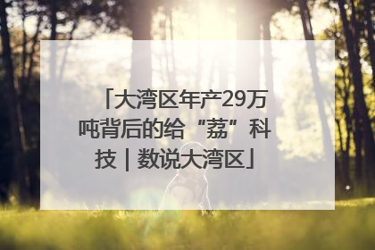 大湾区年产29万吨背后的给“荔”科技｜数说大湾区