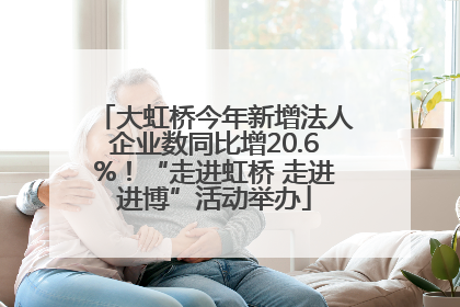 大虹桥今年新增法人企业数同比增20.6%！“走进虹桥 走进进博”活动举办