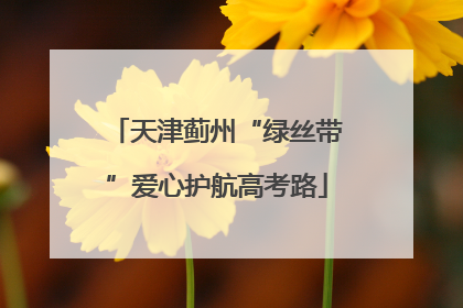 天津蓟州“绿丝带”爱心护航高考路