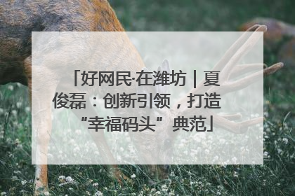 好网民·在潍坊｜夏俊磊：创新引领，打造“幸福码头”典范