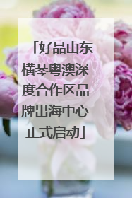 好品山东横琴粤澳深度合作区品牌出海中心正式启动