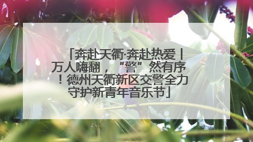 奔赴天衢·奔赴热爱丨万人嗨翻，“警”然有序！德州天衢新区交警全力守护新青年音乐节