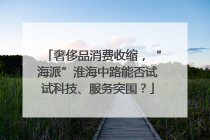 奢侈品消费收缩，“海派”淮海中路能否试试科技、服务突围？