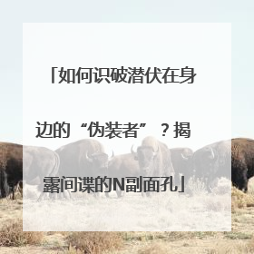 如何识破潜伏在身边的“伪装者”？揭露间谍的N副面孔