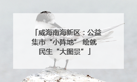 威海南海新区：公益集市“小阵地” 绘就民生“大图景”