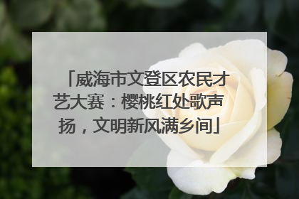 威海市文登区农民才艺大赛：樱桃红处歌声扬，文明新风满乡间