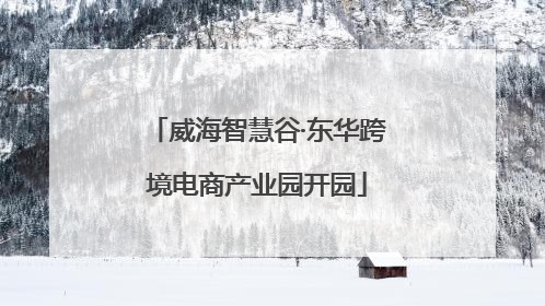 威海智慧谷·东华跨境电商产业园开园