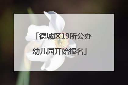 德城区19所公办幼儿园开始报名