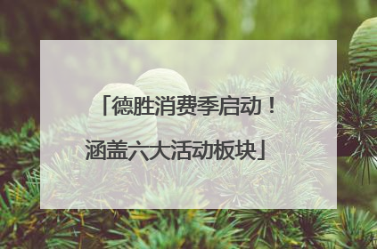 德胜消费季启动！涵盖六大活动板块