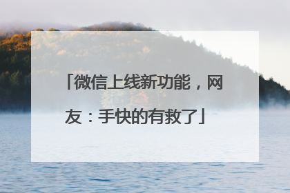 微信上线新功能，网友：手快的有救了