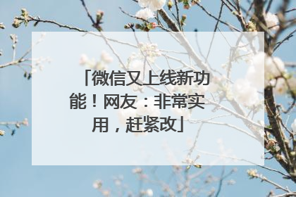 微信又上线新功能！网友：非常实用，赶紧改