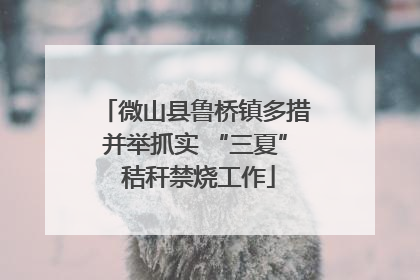 微山县鲁桥镇多措并举抓实 “三夏” 秸秆禁烧工作