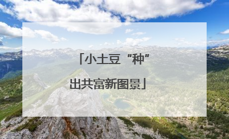 小土豆“种”出共富新图景
