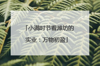 小满时节看潍坊的实业：万物初盈