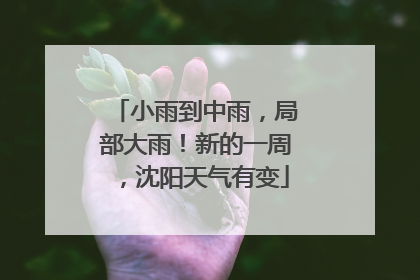 小雨到中雨，局部大雨！新的一周，沈阳天气有变