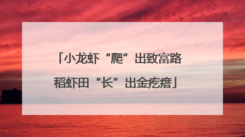 小龙虾“爬”出致富路 稻虾田“长”出金疙瘩