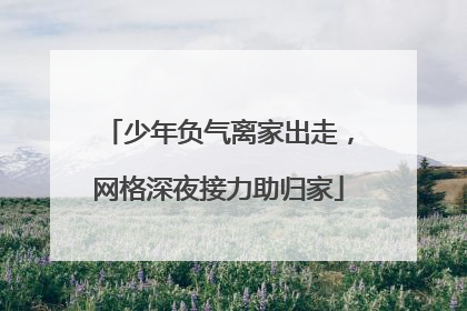 少年负气离家出走，网格深夜接力助归家