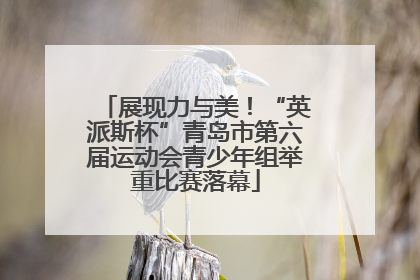 展现力与美！“英派斯杯”青岛市第六届运动会青少年组举重比赛落幕