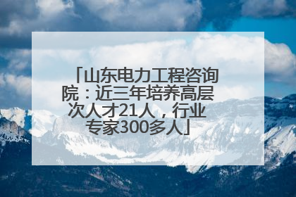 山东电力工程咨询院：近三年培养高层次人才21人，行业专家300多人