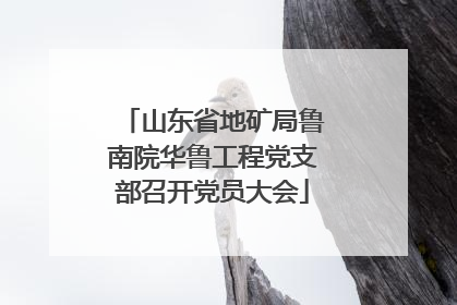 山东省地矿局鲁南院华鲁工程党支部召开党员大会